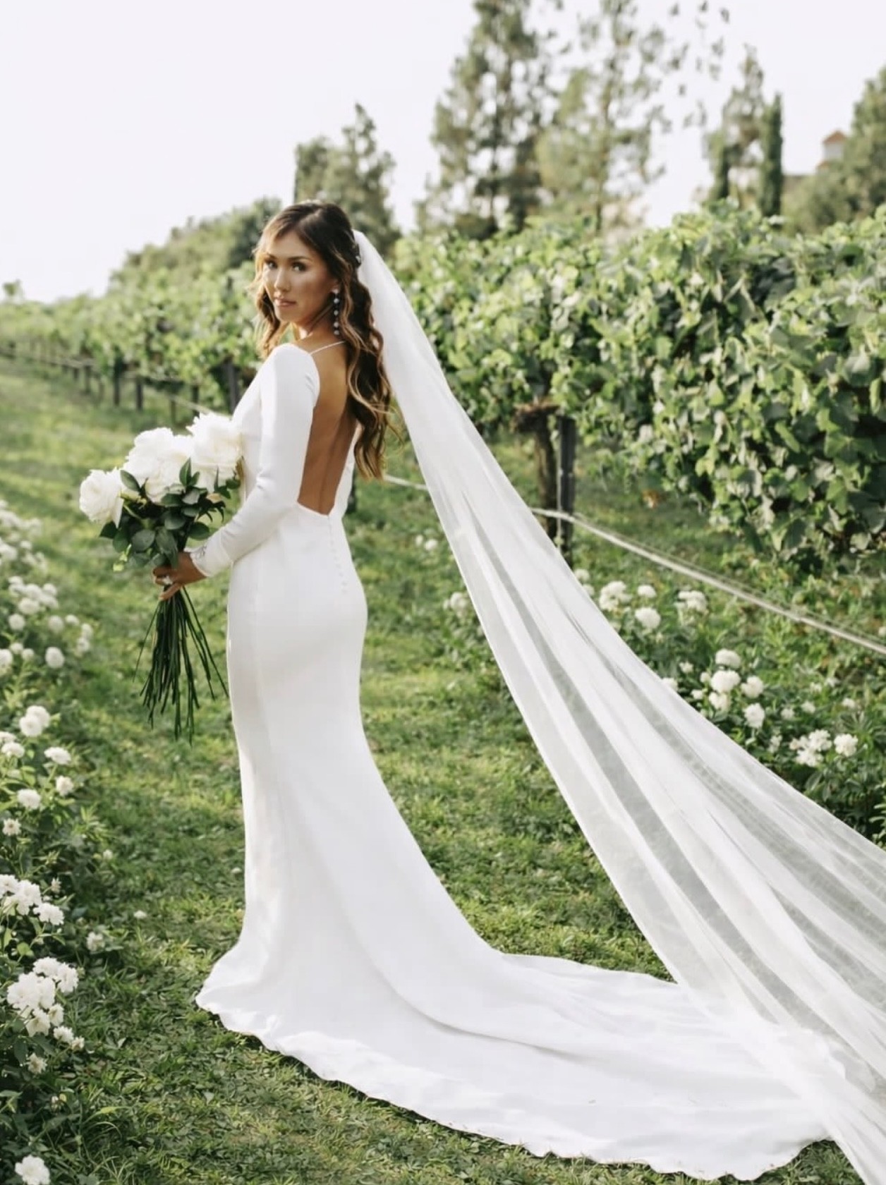 Vineyard wedding bridal veil portrait California wine country wedding